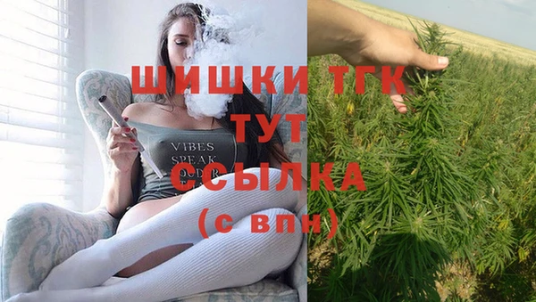 бошки Краснослободск