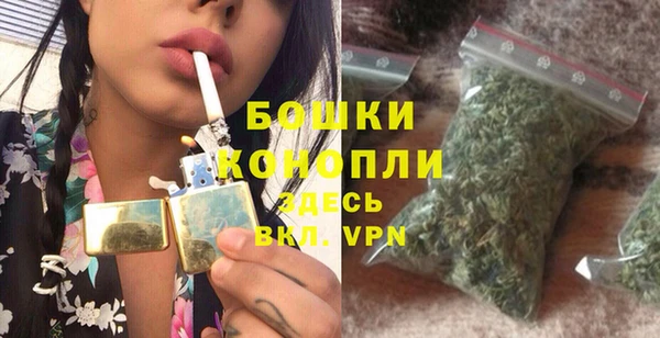 бошки Краснослободск